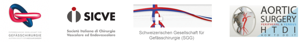 cxa-julyv2-partners-strip@3x-1200×139 CX Aortic participants