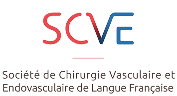 French Society for Vascular and Endovascular Surgery